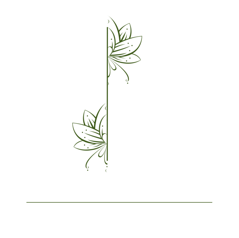 Connect Healing | Retreats, Healing, Workshops